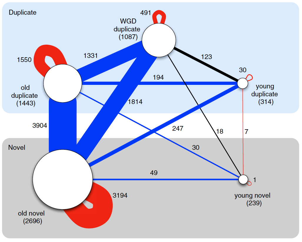 Key Figure