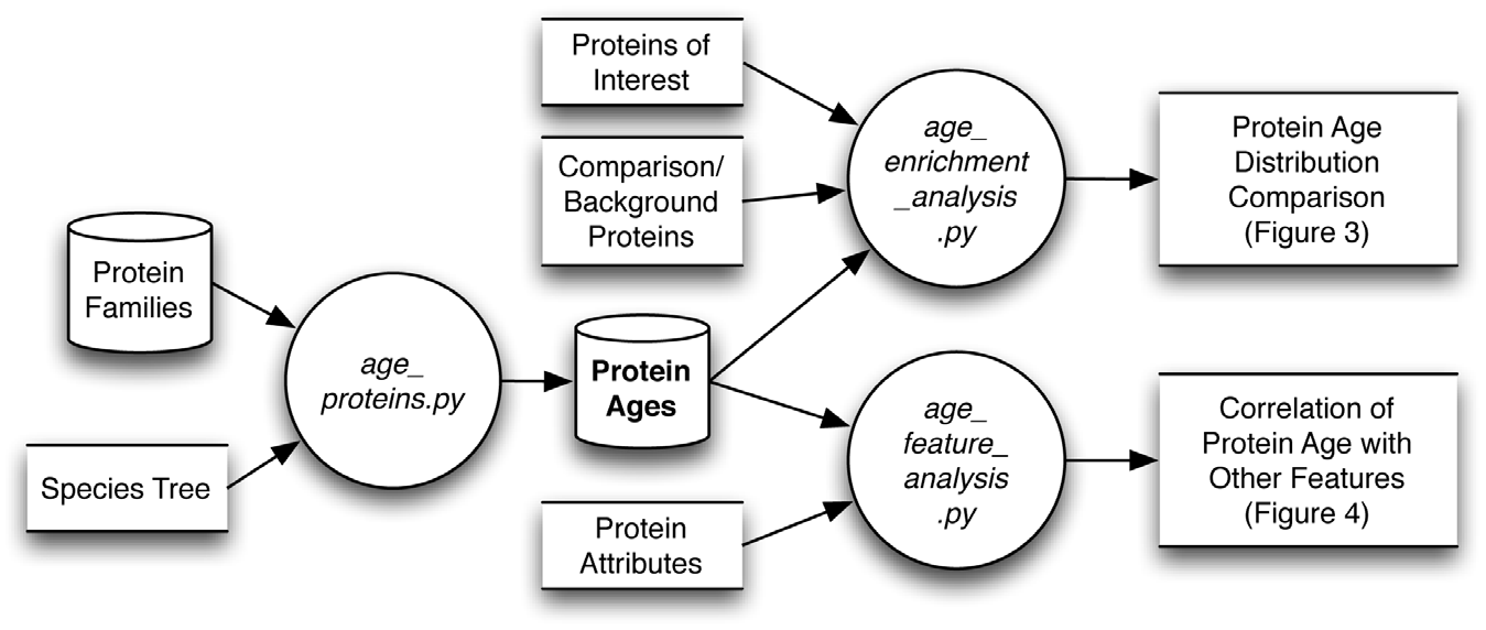 Key Figure